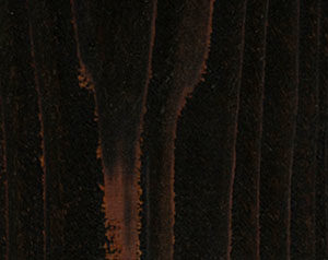 Fence Stain Contractor in Southern Wisconsin