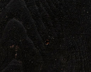 Fence Stain Contractor in Southern Wisconsin