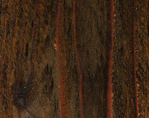 Fence Stain Contractor in Southern Wisconsin