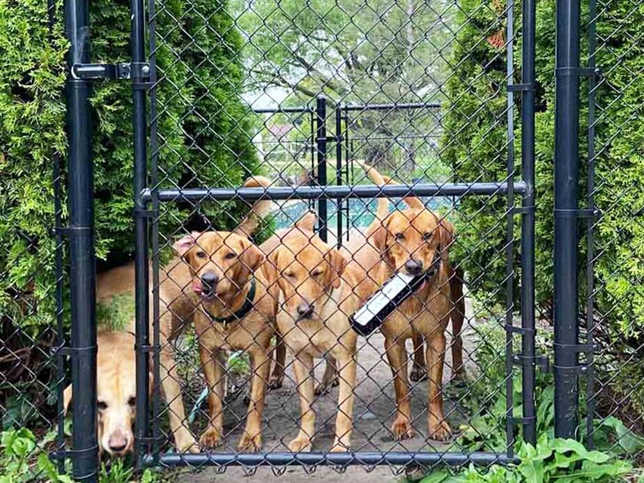 Chain Link Fence Contractor in Southern Wisconsin