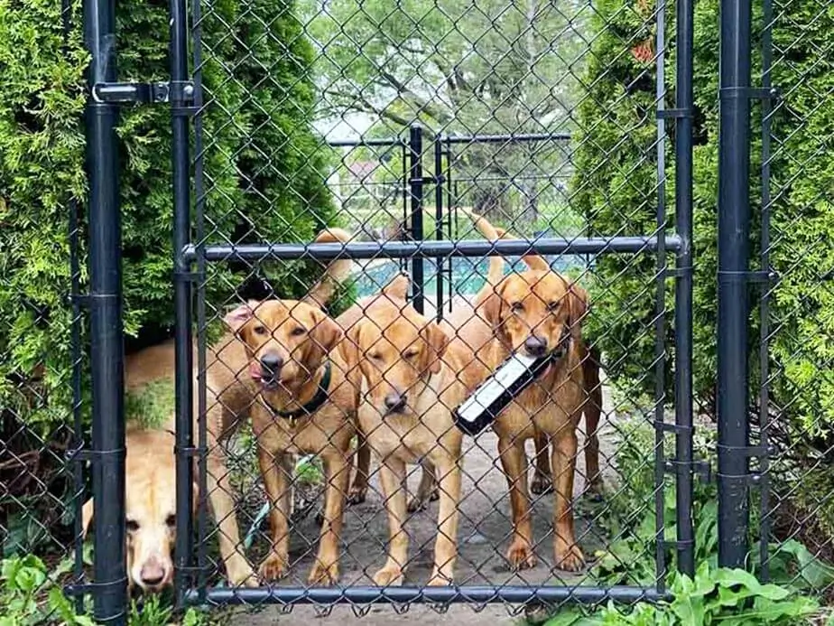 Chain Link Fence Contractor in Southern Wisconsin