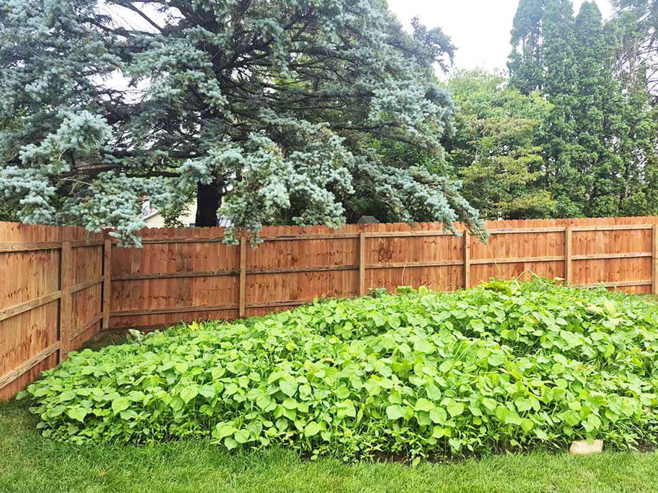Jefferson Wisconsin wood privacy fencing